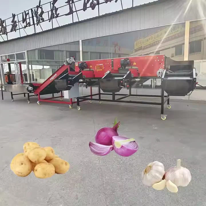 Automatic Srhimp Avocado Cucumber Kiwi Vegetable Fruit Size Weight Washing Grader Sorting And Sorter Grading Machine For Sale