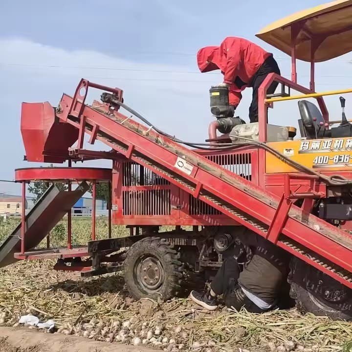 Factory-Owned New Agricultural Special Combined Harvester Potato Garlic Carrot Harvester