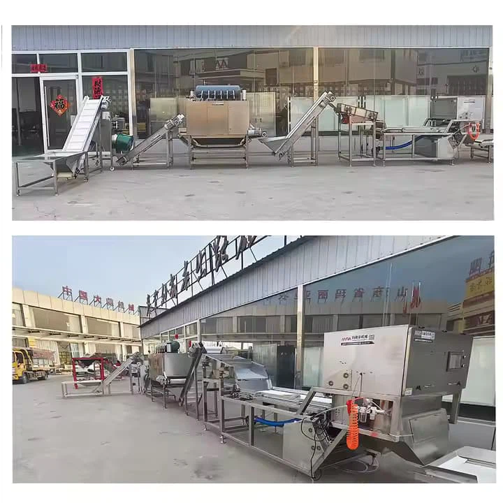 Linja tal-Ipproċessar tat-Tewm Full-Automatic Ultrasonic Clearing Machine u Tewm Flapping Machine