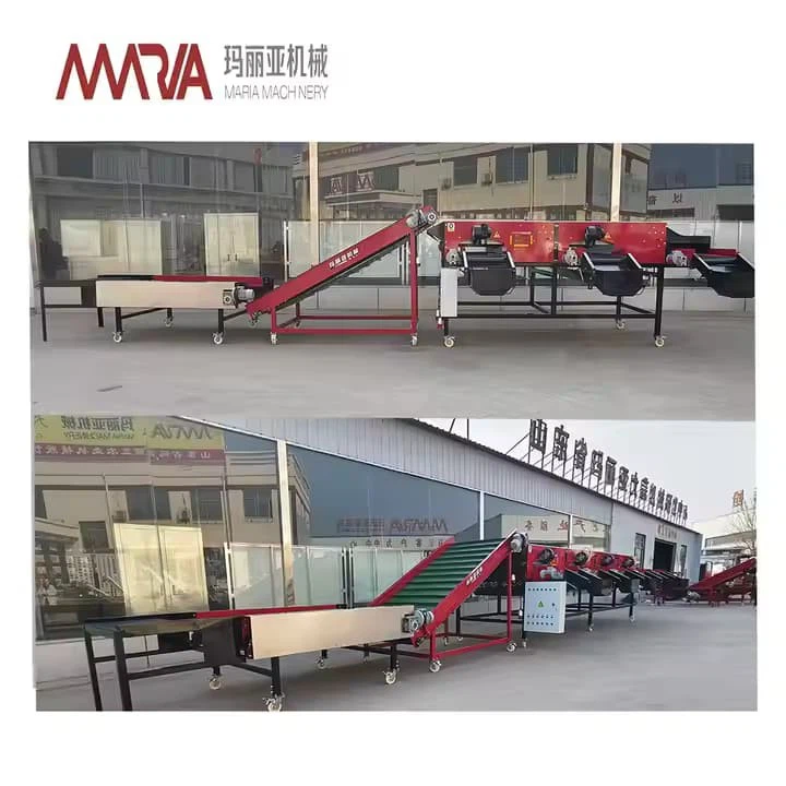 Industrial Garlic Size Sorting Machine/Garlic Onion Grading Sorting Machine/Garlic Sorting Grading Machine