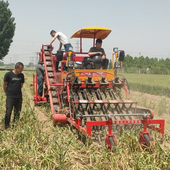 Garlic Combine Harvester